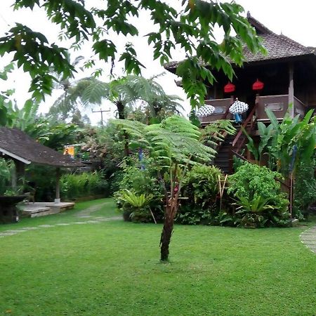 Selemadeg  Bali Mountain Retreat 빌라 외부 사진
