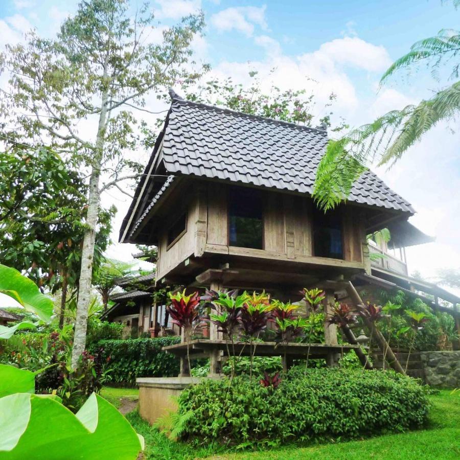 Selemadeg  Bali Mountain Retreat 빌라 외부 사진