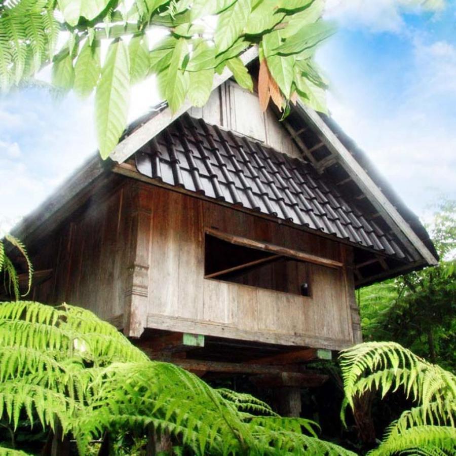 Selemadeg  Bali Mountain Retreat 빌라 외부 사진