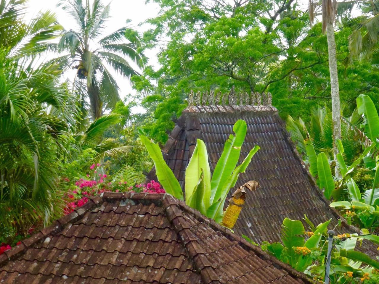 Selemadeg  Bali Mountain Retreat 빌라 외부 사진