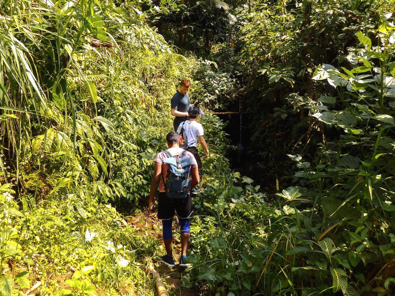 Selemadeg  Bali Mountain Retreat 빌라 외부 사진