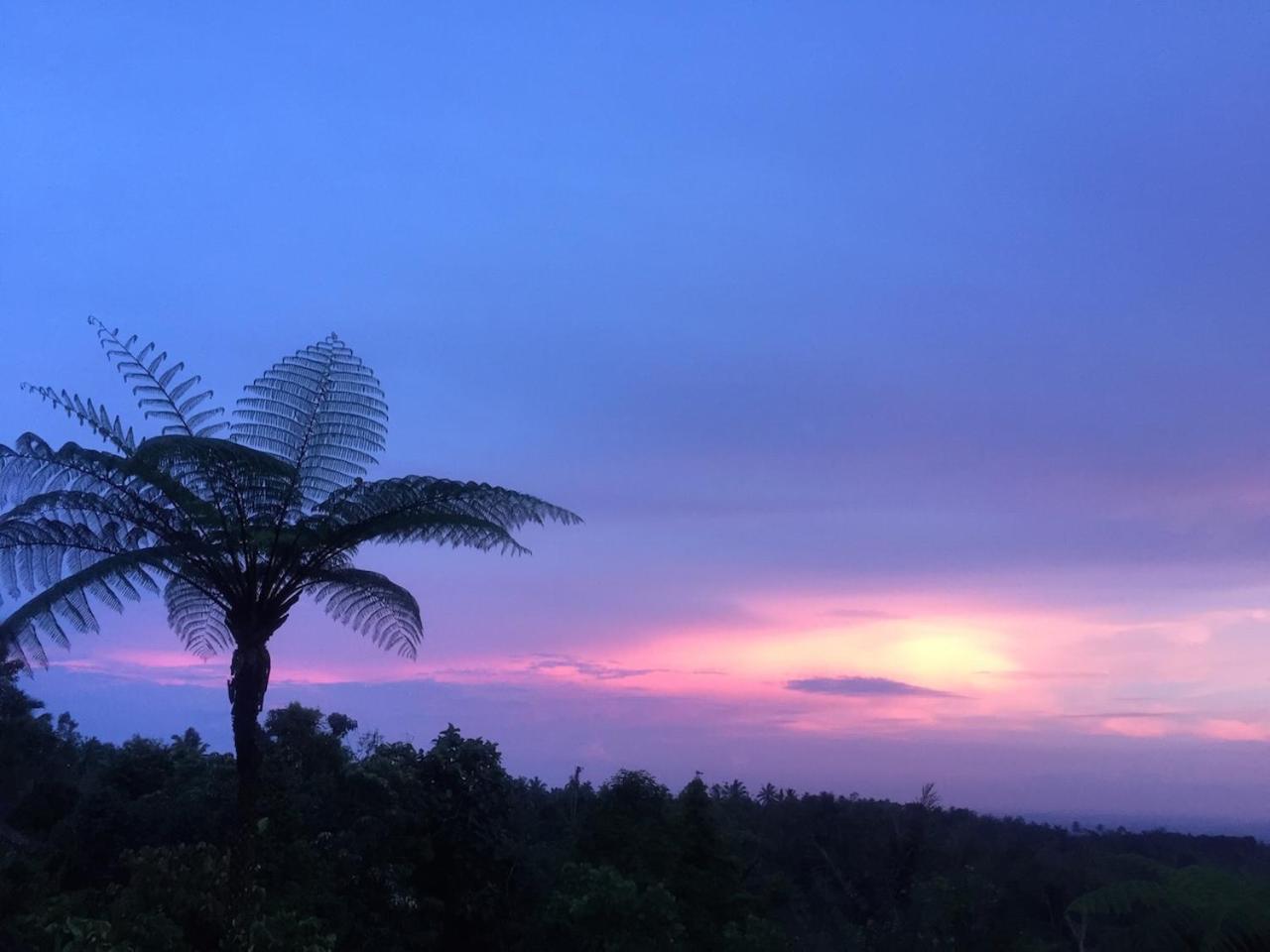 Selemadeg  Bali Mountain Retreat 빌라 외부 사진
