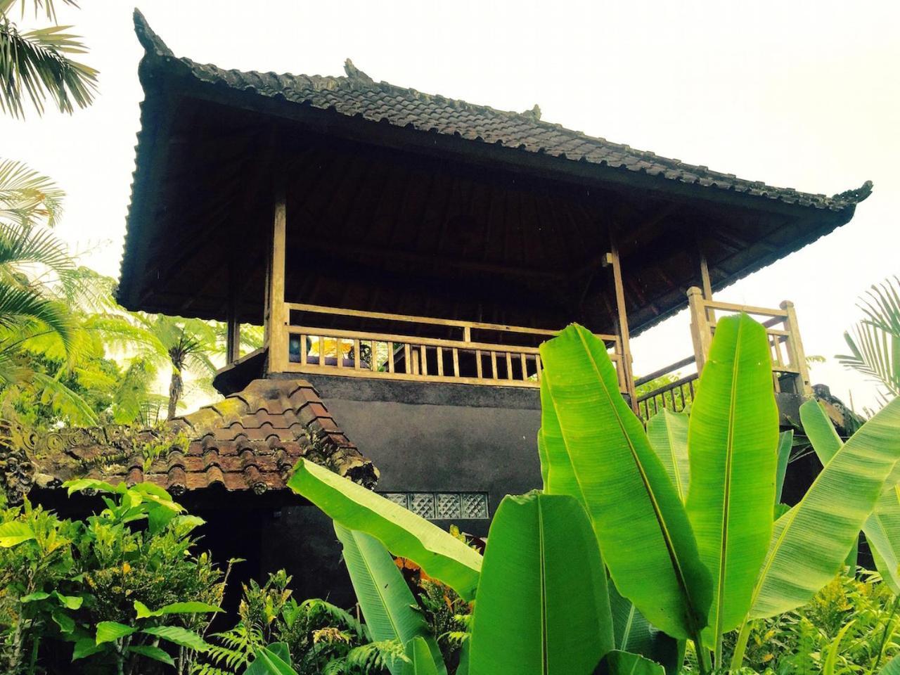 Selemadeg  Bali Mountain Retreat 빌라 외부 사진